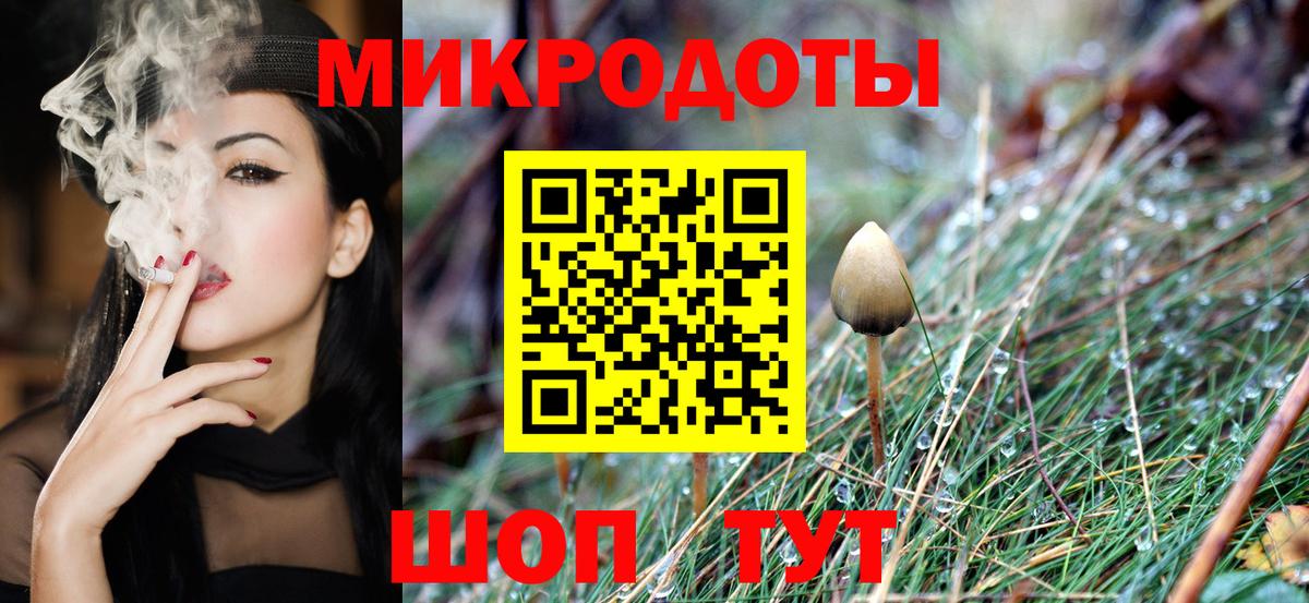 Галлюциногенные грибы Cubensis Туймазы